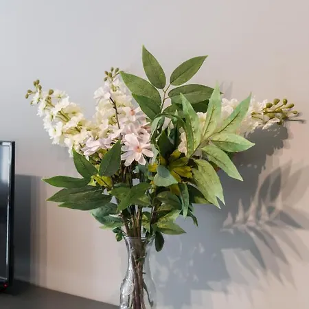 Lägenhet Family Rataje By Renters *